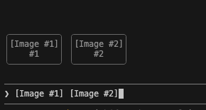 対応していないターミナルでclaude-image-viewを動かした様子。プロンプトの上に枠が2つ出ているが、中身は画像ではなく「[Image #1]」「[Image #2]」という文字になっている